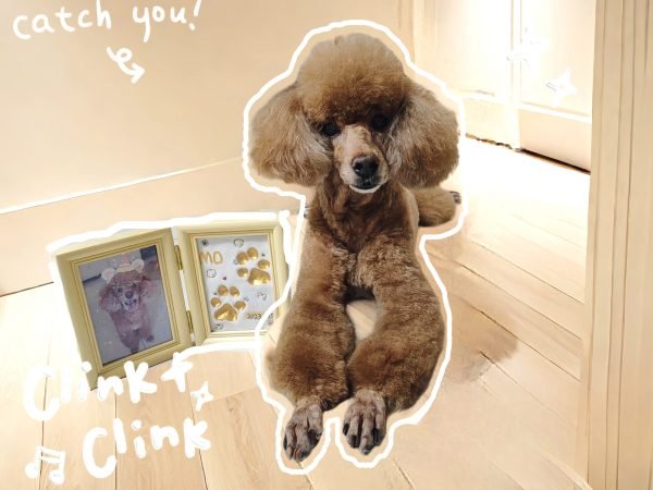 Pet Paw Print Memorial Kit